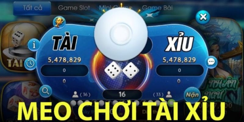 Top 4 mẹo chơi tài xỉu chiến thắng đến 100%